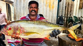 KASIMEDU CHEETAH DURAI YELLOW TREVALLY FISH CUTTING VIDEO CUTTING FOCUS