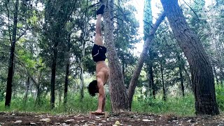 كاليسثينكس في الغابة - Calisthenics In The Woods