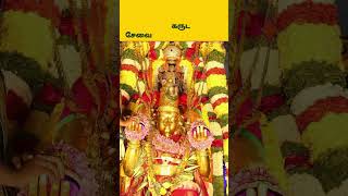 திருமலையில் பௌர்ணமி கருட சேவை #tirumala #tirupati #pournamigarudaseva #tirumalatirupatiinfobykhm