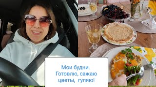 Мои будни! готовлю, сажаю, разбираю покупки.