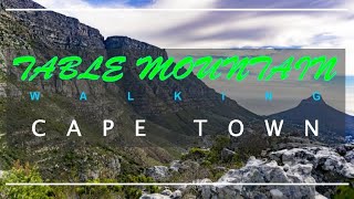 WALKING TABLE MOUNTIAN-CAPE TOWN - SOUTH AFRICA