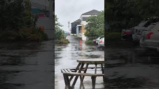 🌧️☔ #rain #newzealand