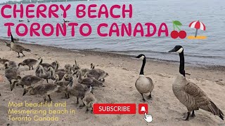 Cherry Beach Toronto Canada: A summer paradise in the city