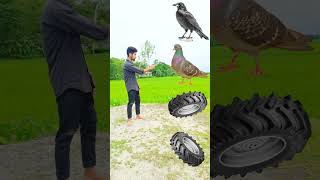 Tractor wheel to parrot pingen crow peacock 🦚 #shortsfeed_ vfx #funny #shorts #viral #viralvideos