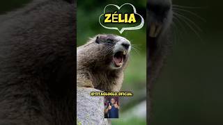 marmota gritando meme (marmota chamando o nome Zélia) #shorts