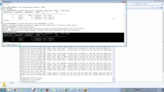 Groom Table in IBM Netezza with UPDATE and BACKUP scenarios