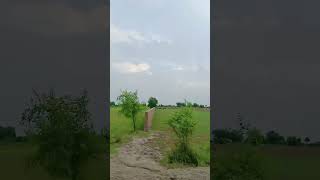 Gaon Ka Safar #viralshorts #gaonkishanti #villagelife #villagevlog #travelvlog #shorts