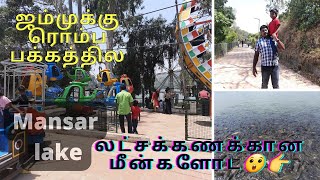 Mansar lake in jammu in tamil  vlog/ history of mansar lake in tamil /Easu view's/lakhs of 🐟 🐠 fish