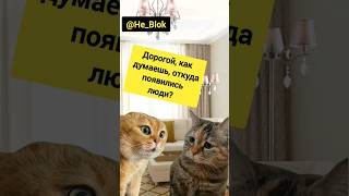 Два кота откуда появились #мем2024 #двакота #Дарвин #shorts #catstolking