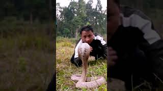 Cobra snake play dev rai