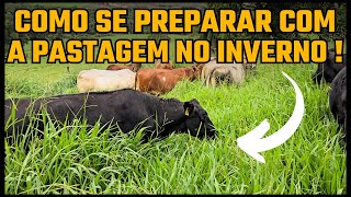 COMO SE PREPARAR COM A PASTAGEM PARA O INVERNO !