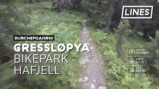 Gressløypa - Bikepark Hafjell 🇳🇴 | LINES