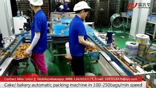 Cake flow packing machine