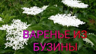 Варенье из цветов бузины. Лайфхак нового вегетарианского рецепта. Сладкой жизни на ленивом огороде.