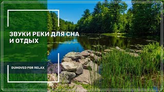 Звуки Реки Для Сна Или Отдыха ✦ Пение Птиц ✦ Sleep Sounds