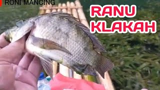 MANCING NILA BABON NGGETEK DI RANU KLAKAH LUMAJANG