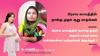 Second Trimester of Pregnancy in Tamil | வார வாரம் கருவின் வளர்ச்சி என்ன? | Dr.Ashika