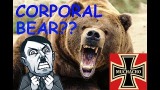 Polish "Soldier Bear" in WW2??  Story of Wojtek The Battlefield Bear 2024 #germany  #ww2 #poland