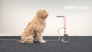 [SHAPL] 샤플헤어스타일러 Pro - 댕냥이 가족을 위한 선물