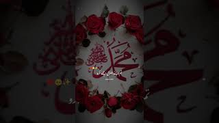 I LOVE HAZRAT MUHAMMED SAW #islamicvideos#islamicvideos#islamicreleases#naatsharif#nosupport #viral