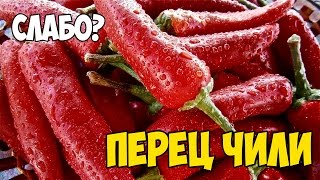 СЛАБО| Перец чили