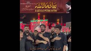 Bhai Ka Lasha | Mir Hasan Mir | Live | Karbala | azadarehussain