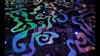 【Black Cherry】by Acid Black Cherry 歌ってみた 歌詞付き DTM AROMATICENERGY