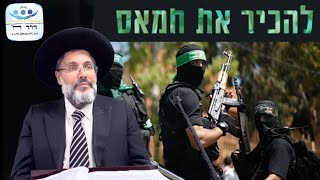 האם תהיה מלחמה גדולה?  הסוד של החמס בפרשת נח !