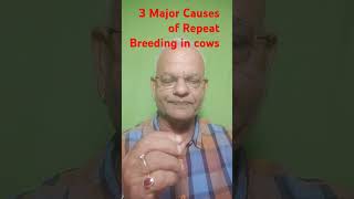 3 Major Causes Of Repeat Breeding In Cows I #shorts