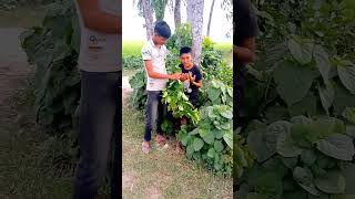 # best TikTok video and Shorts 😧😲#youtobeshorts #youtobe #s_multimedia