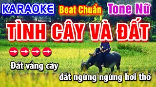 Tình Cây Và Đất Karaoke Beat Chuẩn Tone Nữ