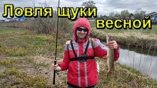 Ловля щуки на спиннинг. Рыбалка на малой реке весной. Рыбалка на спиннинг в мае