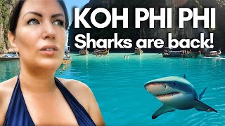 ALONE in Maya Bay with Sharks 🦈 🇹🇭 | Koh Phi Phi Thailand