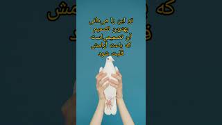 بهترین تصمیم#shorts