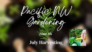 Pacific Northwest Zone 8b July Harvesting