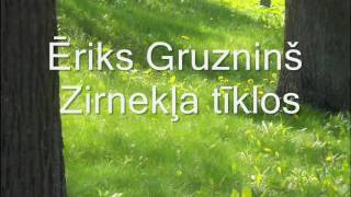 Ēriks Gruzninš - Zirnekļa tīklos