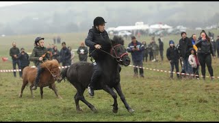 ПРАЗНИК НА КОНЯ – квартал „Църква“ Перник  18 април, 2021 HORSE'S HOLIDAY - Bulgaria, Pernik city