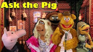 ASK THE PIG #221 : SAM'S LEAST FAVORITE MUPPET ? | Sam The Ham