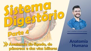 Sistema Digestório - Aula 04 - Anatomia do fígado, do pâncreas, da vesícula e das vias biliares