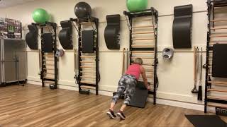 Plank Variation on the Fuse Ladder Pilates Wall Unit