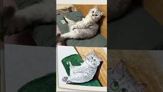 Share some cute and interesting pets hand-drawn based on photos! #drawing #drawcat #funnycatvideos