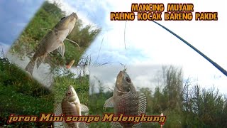 Mancing Mujair bareng Pakde || fishing tilapia together