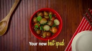 Flavour.ca - Red Skin Potato Salad with Honey Dill Dressing Recipe