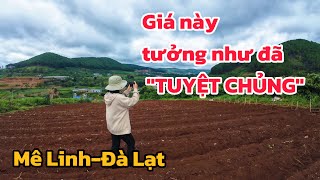 Đất ven Đà Lạt| Rẻ quá! Giá này tưởng như đã tuyệt chủng tại Mê Linh- Đà Lạt| 771m2-200m2 ONT