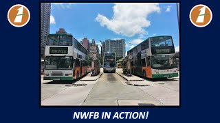 New World First Bus in Action! 新巴巴士行駛片段!