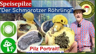 Der Schmarotzerröhrling - essbare aber seltene Speisepilze im Pilz Portrait!