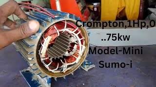 #Mini Sumo-1 , crompton 1hp,0.75kw crompton 1 hp water pump winding