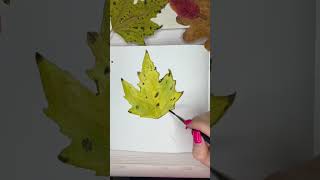 #акварель #акварельдляначинающих #урокрисования #какрисовать #tutorial #watercolour #арт