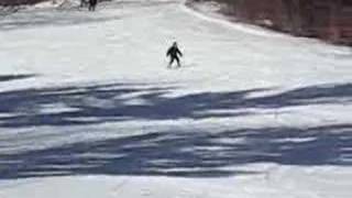 Ant Skiing