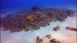 Diving with Hatem at Red Sea Makadi Bay